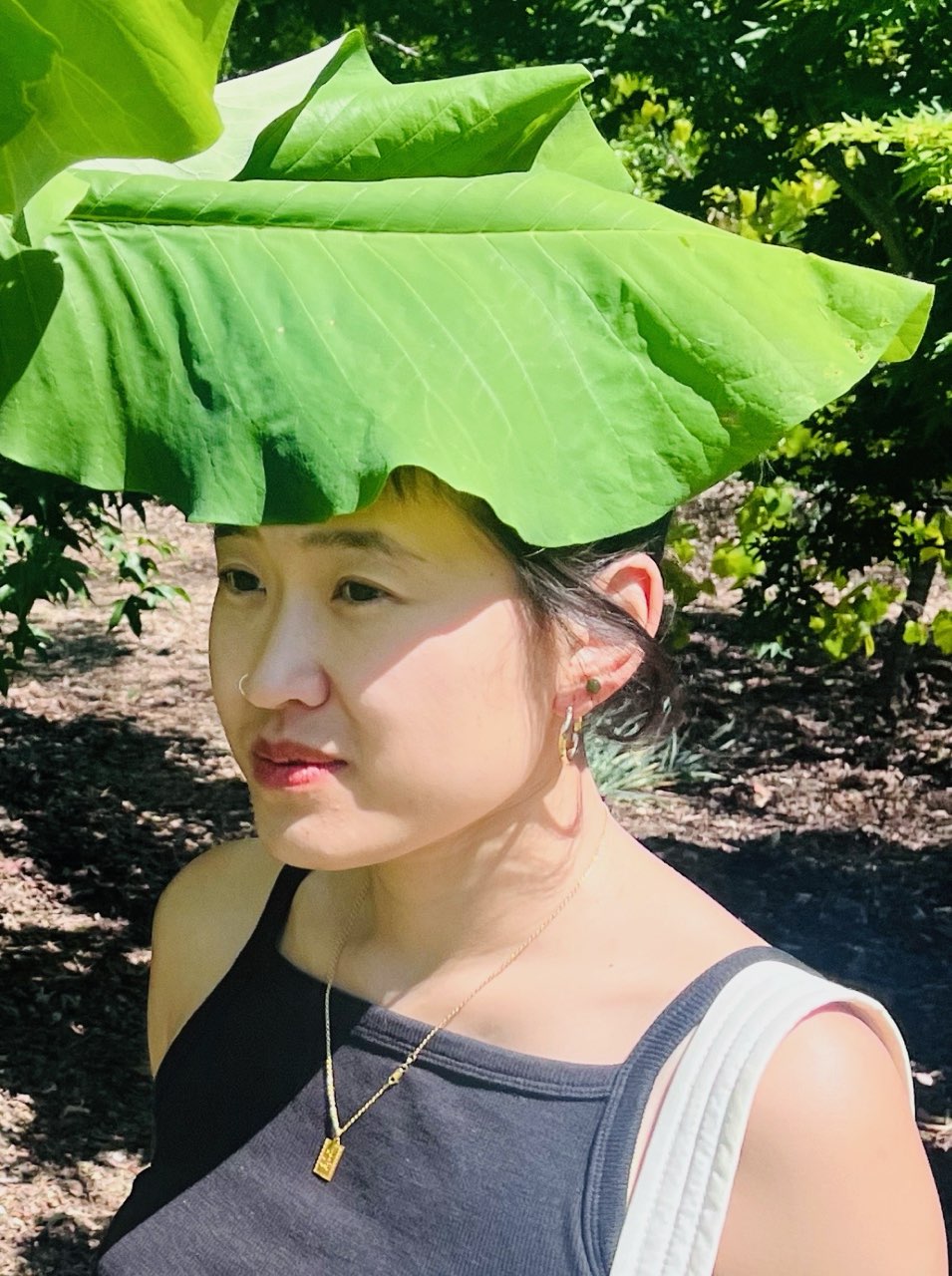 kathy wu