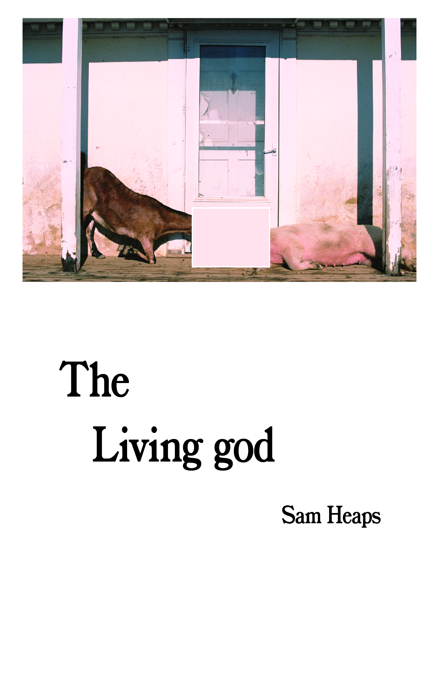 Sam Heaps